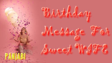 Happy Birthday Message to My Wife in Panjabi