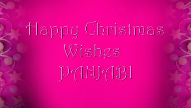 Best Happy Merry Christmas wishes in Panjabi  – ਵਿੱਚ ਕ੍ਰਿਸਮਸ ਦੀਆਂ ਸ਼ੁਭਕਾਮਨਾਵਾਂ