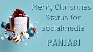 40 Best Merry Christmas Status in Panjabi for Social media