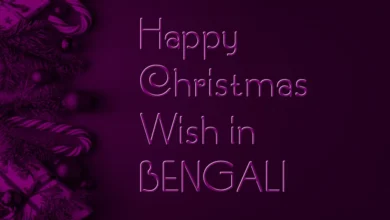 Best Happy Christmas wish in Bengali