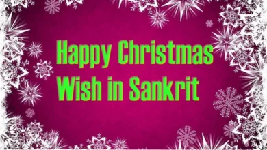 Best Happy Christmas wish in Sanskrit
