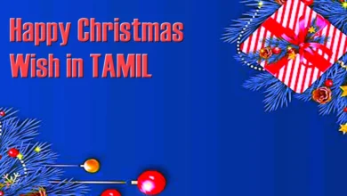 Best Happy Christmas wish in Tamil