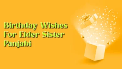 Happy Birthday wishes for elder sister in Panjabi