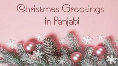 Best Happy Merry Christmas Greetings in Panjabi