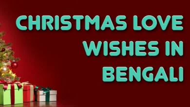 Christmas love wishes in Bengali for Girlfriends and Wife