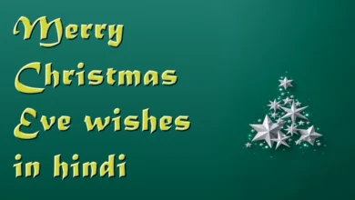 60+ Happy Merry Christmas Eve wishes in Hindi