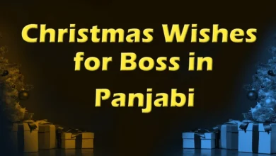 Happy Merry Christmas Wishes for Boss in Panjabi
