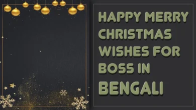 Happy Merry Christmas Wishes for Boss in Bengali