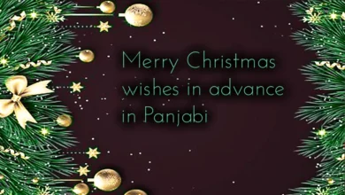 50 Happy Merry Christmas wishes in advance in Panjabi