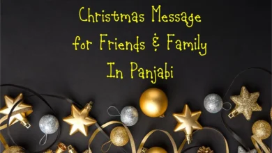 45 Best Happy Christmas message in Panjabi to friends, family and Social Media