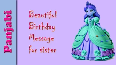 51 Beautiful birthday message for sister in Panjabi
