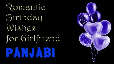 Happy Romantic Birthday Wishes for Girlfriend in Panjabi