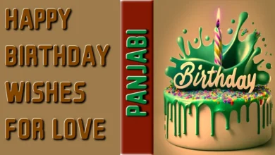 56 Happy birthday wishes for love in Panjabi
