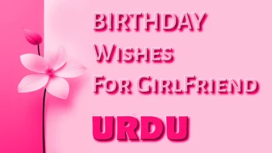 Happy birthday to my school girlfriend in Urdu