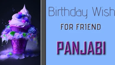 Best Happy birthday wishes for friend boy in Panjabi