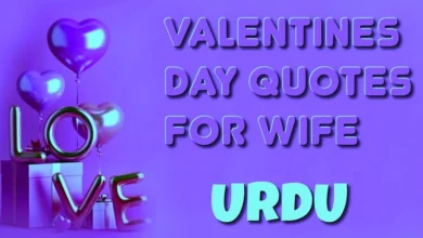 Valentines Day quotes for wife in URDU