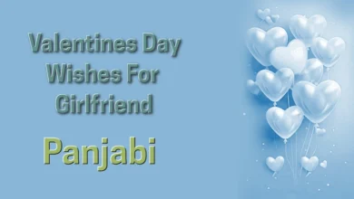 Valentines Day wishes for girlfriend in Panjabi