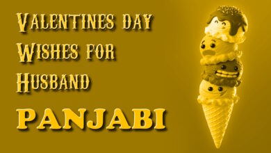 Valentines Day wishes for husband in Panjabi