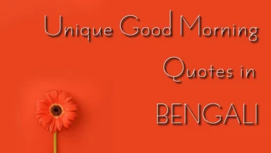 Unique motivational good morning quotes in Bangla