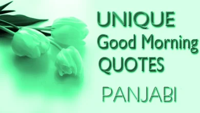  Unique motivational good morning quotes in Panjabi