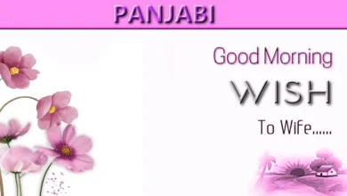 Best Good morning wish for wife in Panjabi