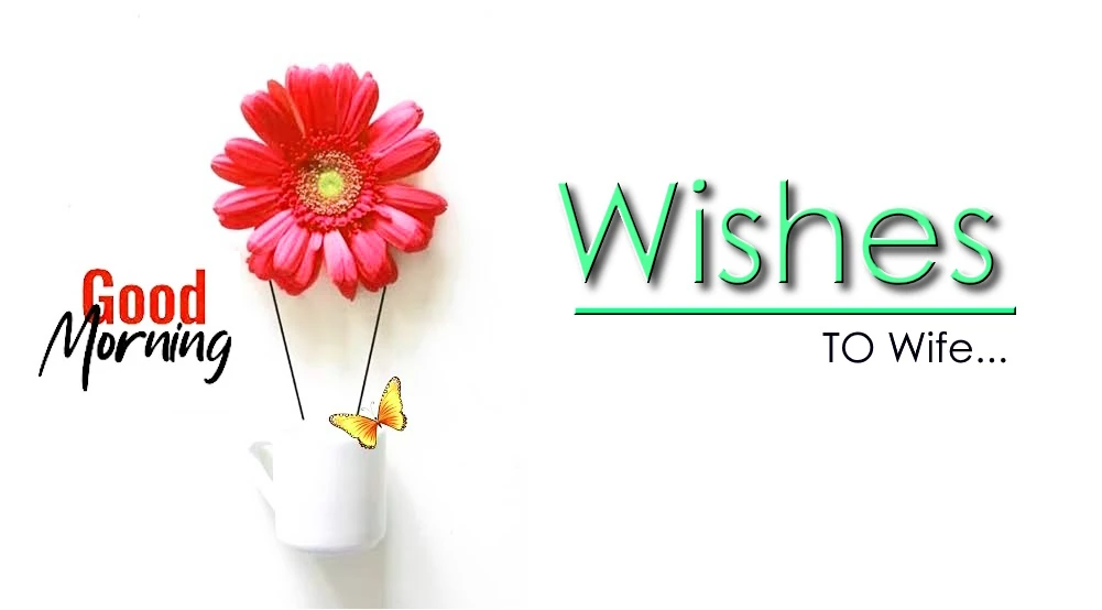 1 click share | Send best good morning wishes for wife
